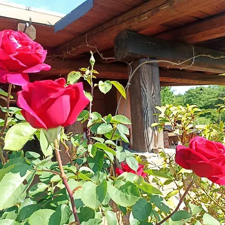 Agriturismo La Mandriana