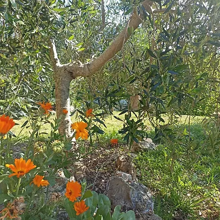 Agriturismo La Mandriana Feriegård *