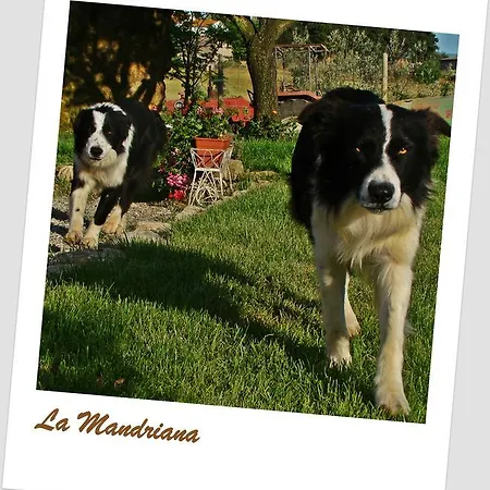 Agriturismo La Mandriana Cura Nuova