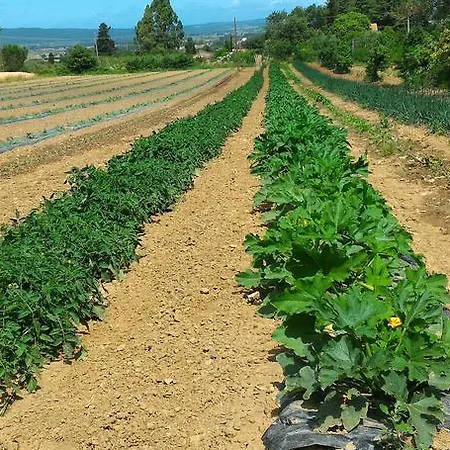 Feriegård Agriturismo La Mandriana