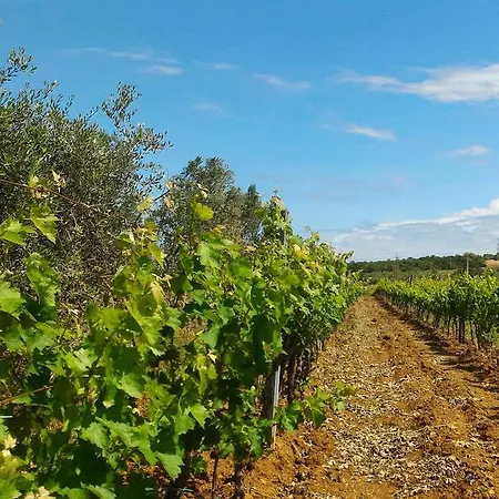 Agriturismo La Mandriana