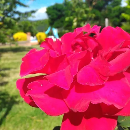 Alloggio per agriturismo Agriturismo La Mandriana