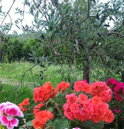 Agriturismo La Mandriana * Cura Nuova